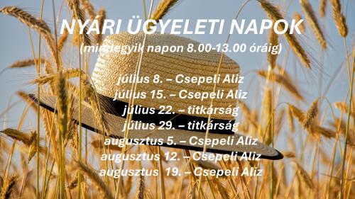 ügyeleti napok